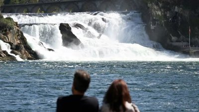 Rhine River's Cargo Shipping Rebounds with Recent Rainfall