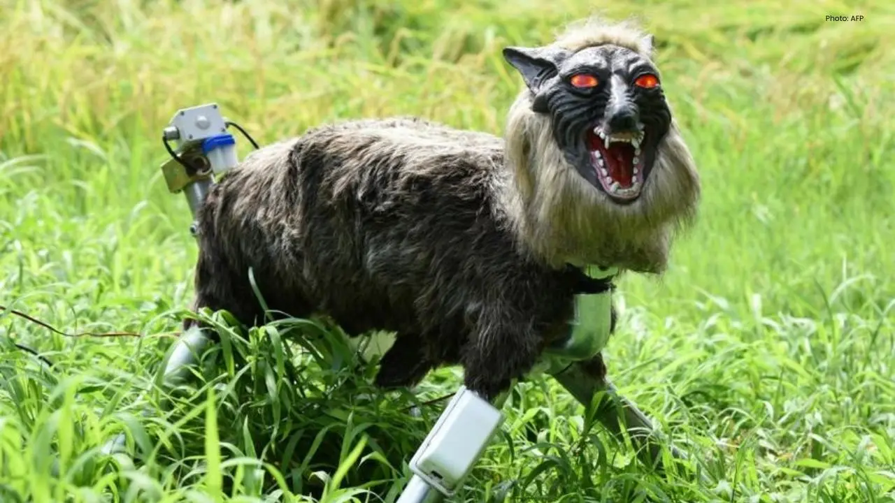 Increasing Demand for Robot Wolves in Japan Due to Rising Bear Attacks
