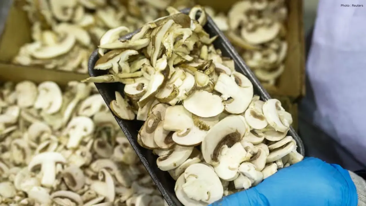 U.S. To Slap Tariffs On Canadian Mushrooms