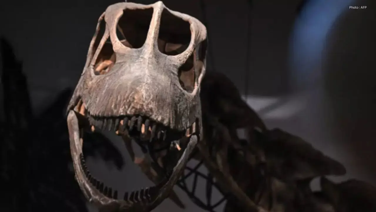 Southeast Asia's Largest Dinosaur Identified In Thailand