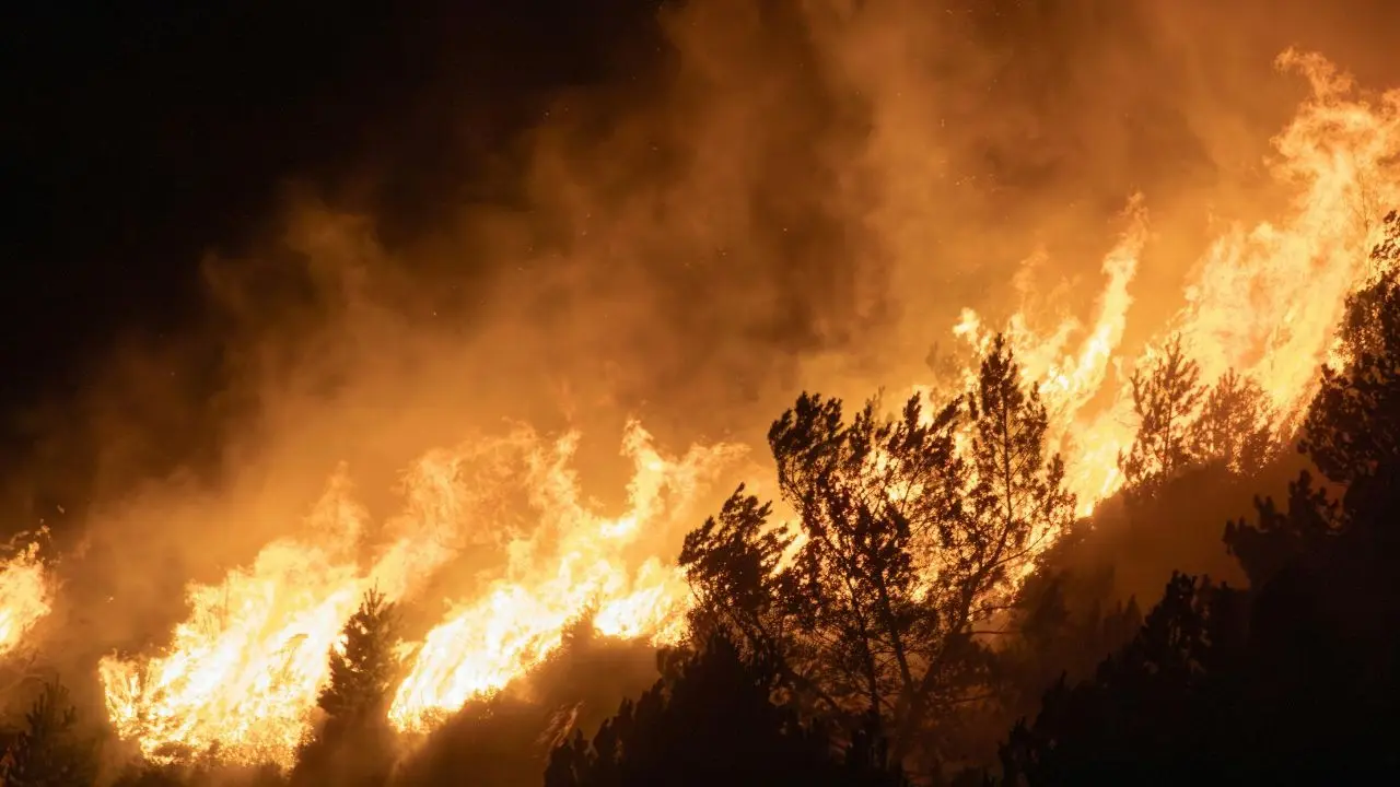 Man Charged After Two Suspicious Fires In Port Alberni