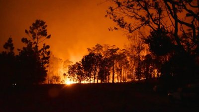 Indonesia Achieves Dramatic Reduction in Forest Fires
