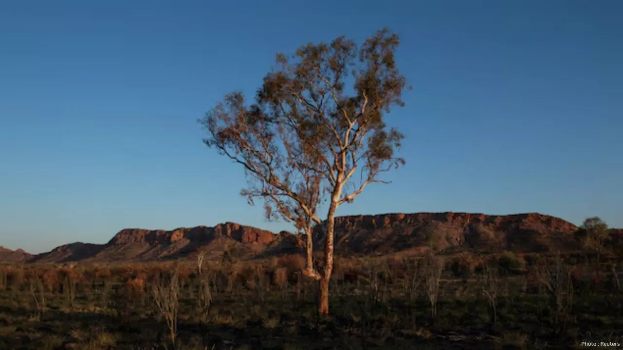Global Plant Species Facing Unprecedented Climate Challenges