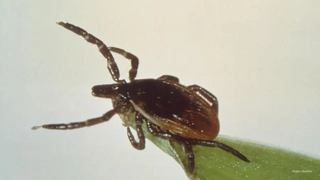 Health Unit Offers Tips To Help Avoid Tick Bites