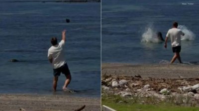 Man Accused Of Throwing Rock At Endangered Seal Barred from Hawaii Beaches