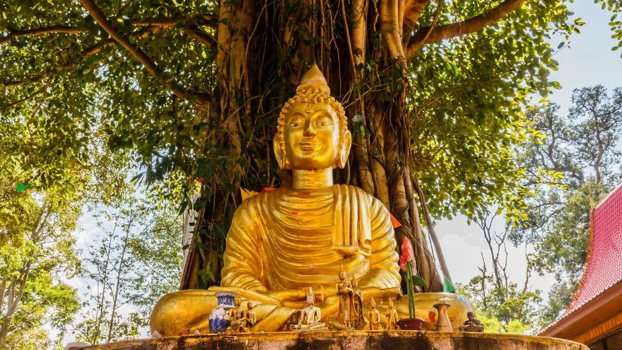 Thailand Calls for Nationwide Bodhi Tree Offerings