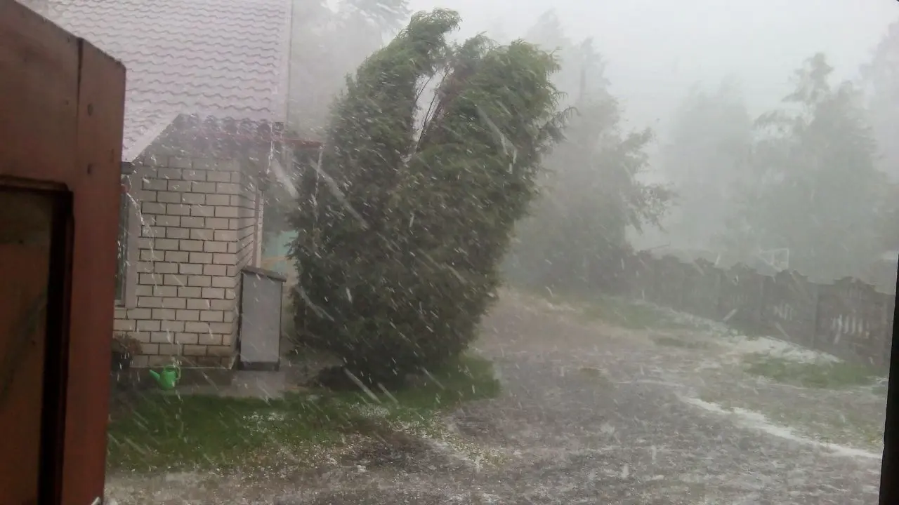 Tropical Storm Jangmi Hits Japan, Disrupts Daily Life