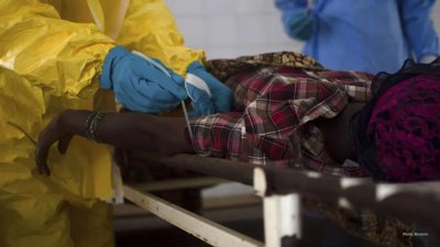 Diagnostics Key As Rare Ebola Outbreak Grows